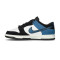 Zapatilla Nike Dunk Low Retro