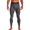 Under Armour HeatGear Carbon Leggings