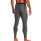 Under Armour HeatGear Carbon Leggings