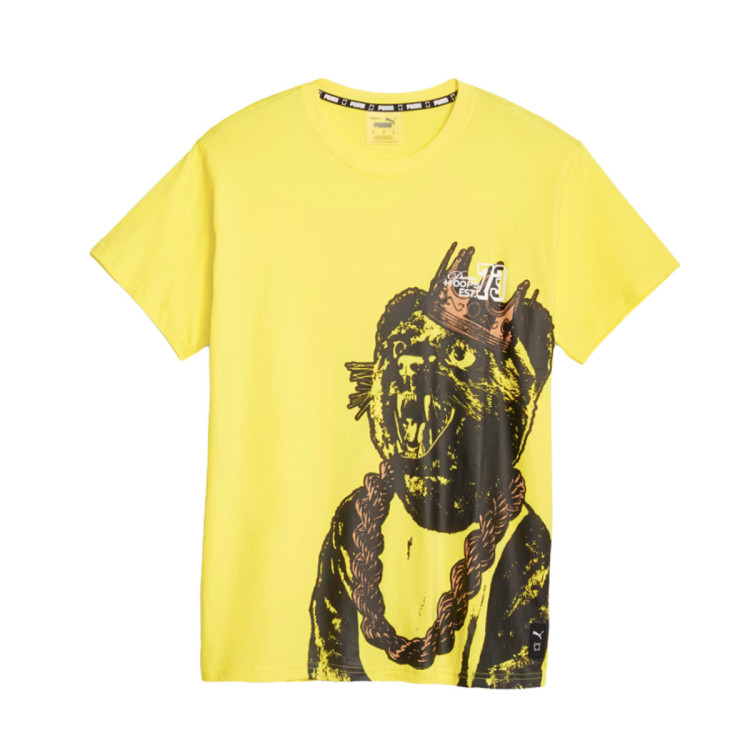 camiseta-puma-franchise-q3-graphic-lemon-meringue-0