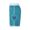 Pantalón corto Jordan Charlotte Hornets Swingman Icon Edition