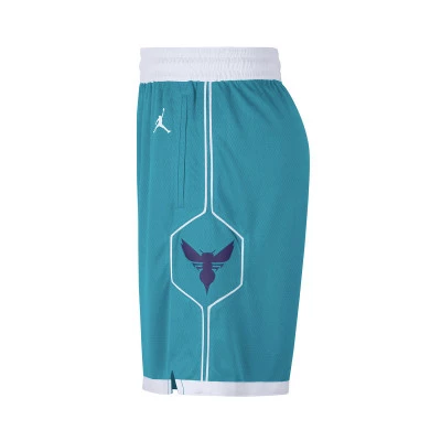 Short Charlotte Hornets Swingman Icon Edition