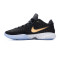 Chaussures Nike Lebron XX
