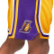 Calções Nike Los Angeles Lakers Icon Edition 2018