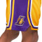 Nike Los Angeles Lakers Icon Edition 2018 Shorts