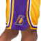 Pantalón corto Nike Los Angeles Lakers Icon Edition