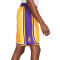 Nike Los Angeles Lakers Icon Edition 2018 Shorts