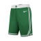 Pantalón corto Nike Boston Celtics Icon Edition