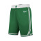 Nike Boston Celtics Home Kit Shorts 2018 Shorts