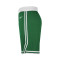 Pantalón corto Nike Boston Celtics Icon Edition