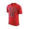 Nike Chicago Bulls Essential Icon Edition Demar Derozan T-Shirt