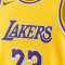 Camiseta Nike Los Angeles Lakers Icon Edition Lebron James 2023-2024