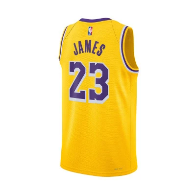 Maillot Los Angeles Lakers Icon Edition Lebron James 2023-2024