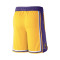 Nike Kids Los Angeles Lakers Icon Edition 2023-2024 Shorts