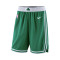 Short Nike Enfants Boston Celtics Icon Edition 2023-2024