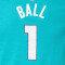 Jordan Kids Charlotte Hornets Essential Icon Edition Lamelo Ball T-Shirt