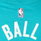 Jordan Kids Charlotte Hornets Essential Icon Edition Lamelo Ball T-Shirt