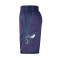 Pantalón corto Jordan Charlotte Hornets Statement Swingman Niño