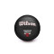 Ballon Wilson NBA Team Tribute Mini Chicago Bulls Niño