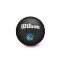 Ballon Wilson Enfants NBA Team Tribute Mini Golden State Warriors