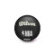 Wilson Kids NBA Team Tribute Mini Golden State Warriors Ball