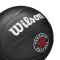 Wilson NBA Team Tribute Mini Toronto Raptors Niño Ball