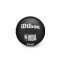 Wilson NBA Team Tribute Mini Toronto Raptors Niño Ball