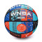 Bola Wilson WNBA Heir DNA