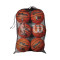 Wilson NBA 6 Ball Mesh Carry Sack
