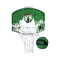 NBA Team Mini Hoop Boston Celtics