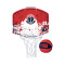 NBA Team Mini Hoop Washington Wizards