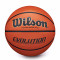 Bola Wilson Evolution Basketball