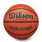 Wilson Evolution Basketball Ball