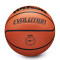 Wilson Evolution Basketball Ball