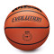 Ballon Wilson Evolution Basketball