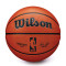 Bola Wilson NBA Authentic Series Outdoor