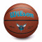 Pallone Wilson NBA Team Alliance Charlotte Hornets