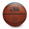 Bola Wilson NBA Team Alliance Charlotte Hornets