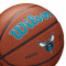 Bola Wilson NBA Team Alliance Charlotte Hornets