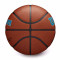 Bola Wilson NBA Team Alliance Charlotte Hornets