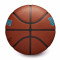 Pallone Wilson NBA Team Alliance Charlotte Hornets