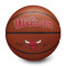 Ballon Wilson NBA Team Alliance Chicago Bulls