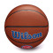 Ballon Wilson NBA Team Alliance Detroit Pistons