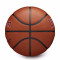 Ballon Wilson NBA Team Alliance Miami Heat