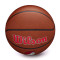 Ballon Wilson NBA Team Alliance Portland Trail Blazers