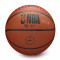 Pallone Wilson NBA Team Alliance Toronto Raptors