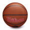 Wilson NBA Team Alliance Toronto Raptors Ball