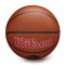 Bola Wilson NBA Team Alliance Toronto Raptors