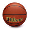 Ballon Wilson NBA Team Alliance Utah Jazz