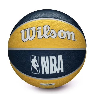 NBA Team Tribute Indiana Pacers Ball